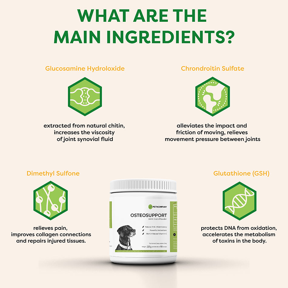 Joint care powder for dogs