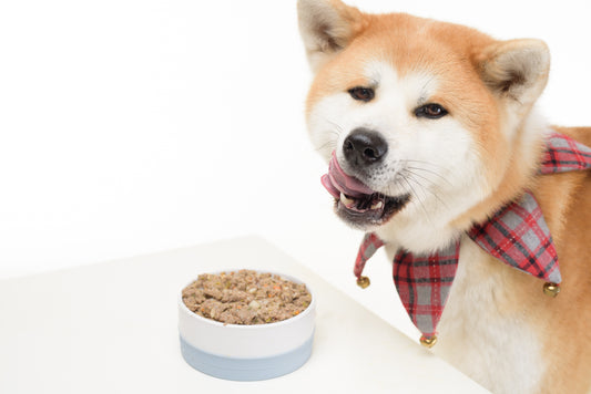 How to get picky dogs to eat？
